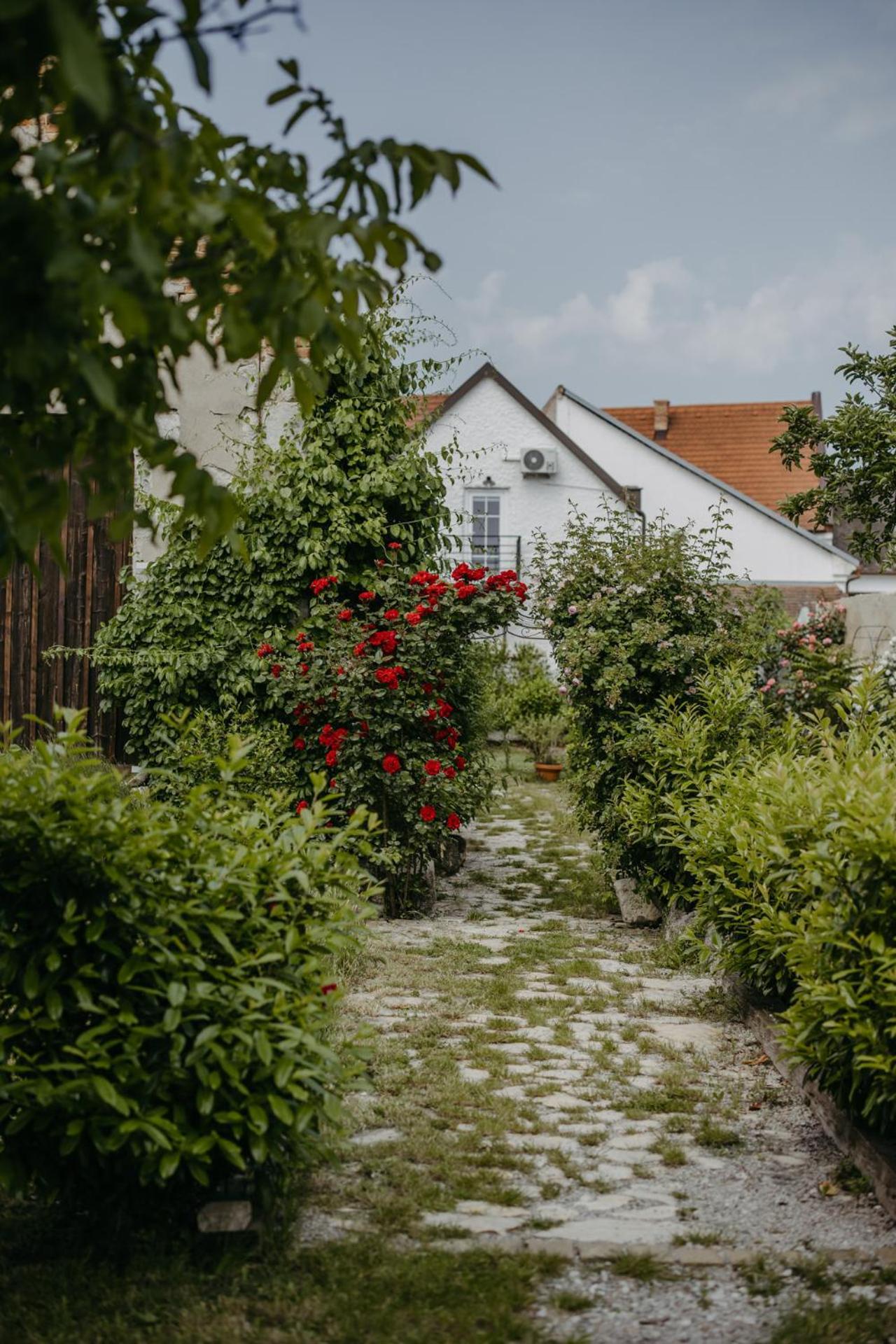 Haus Diogenes Διαμέρισμα Mörbisch am See Εξωτερικό φωτογραφία